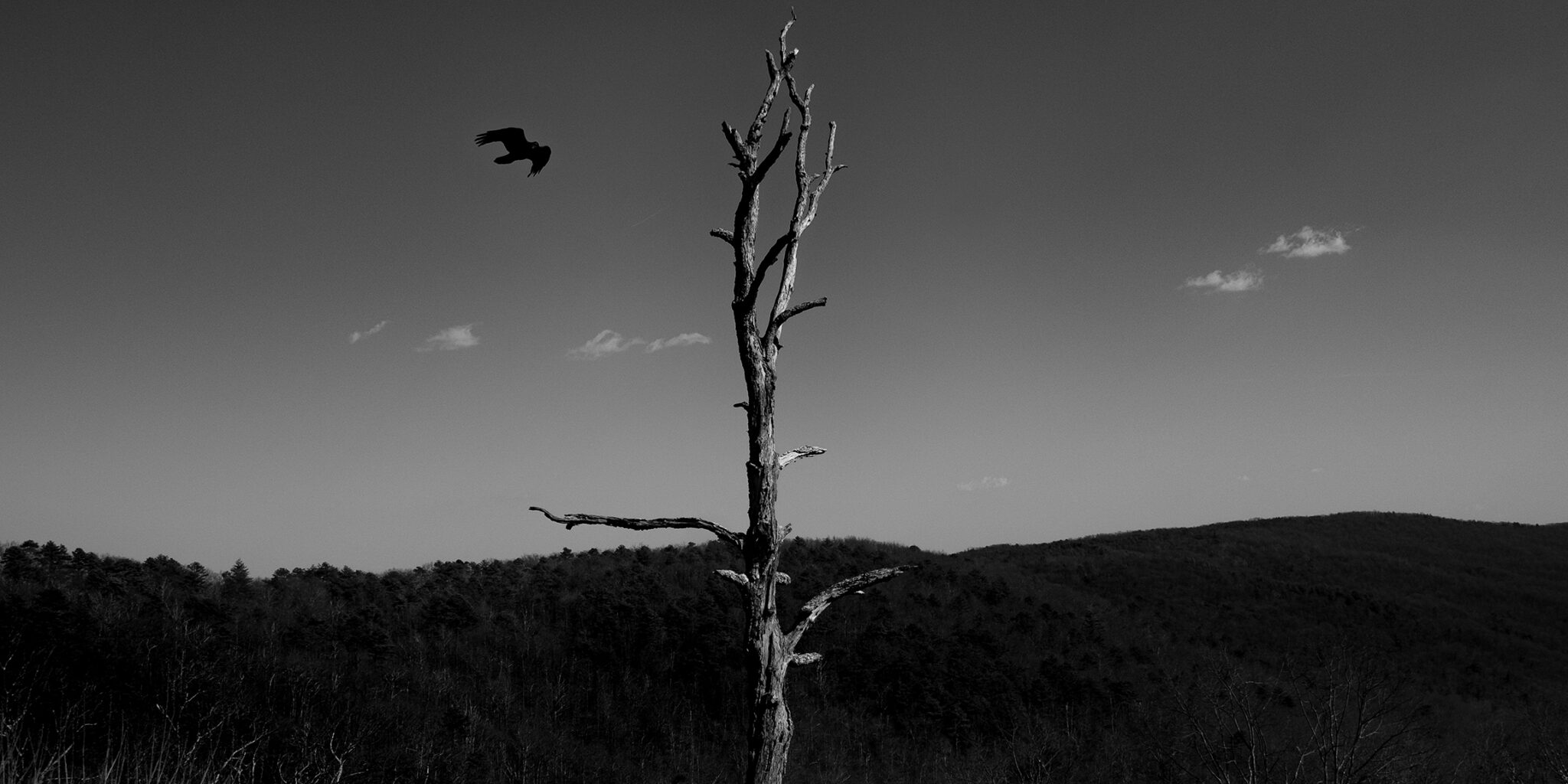 Shenandoah National Park