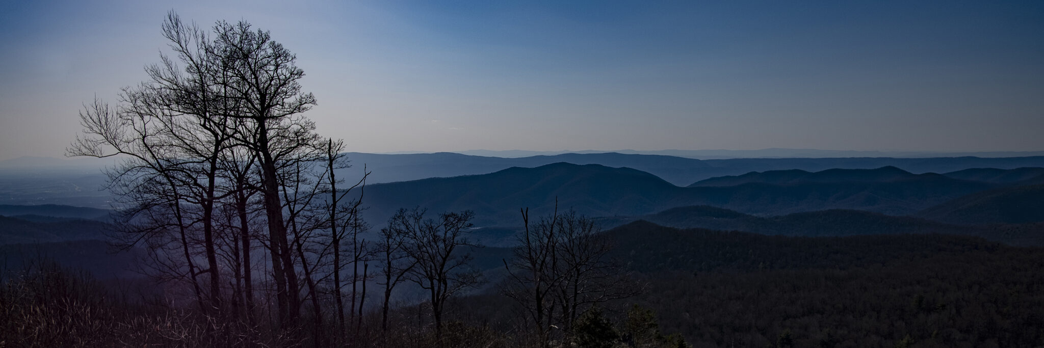 Brian Freer Shenandoah